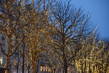 Fototapeta premium Avenue&nbsp;décorée&nbsp;à&nbsp;Noël