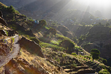 paysage verdoyant île de Santo Antao