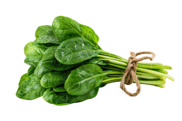 Fresh spinach leaves tied with twine (1)