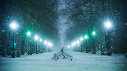 Fabulous view of the snow-covered city park at night, with trees in the snow, cozy warm light of lanterns.