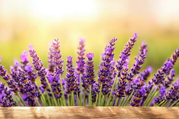 Fototapeta premium Vibrant Lavender Flowers with Soft Sunlight Background and Wooden Surface Ideal for Tranquil Countryside Themes