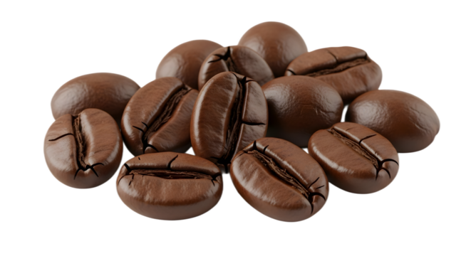 Continuous form paper with torn edge isolated on transparent background for design