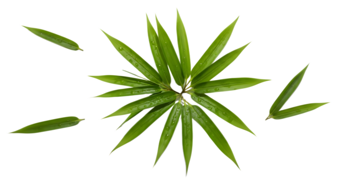 Old brown paper with torn edges isolated on transparent background for design