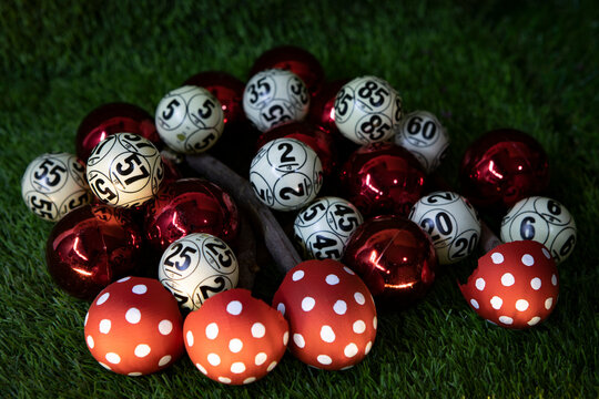 bolas de bingo y navidad entre setas 2