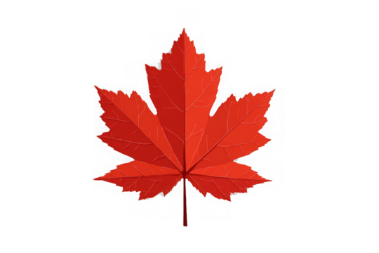 png Red maple leaf vector illustration isolated on white background a symbol of Canada