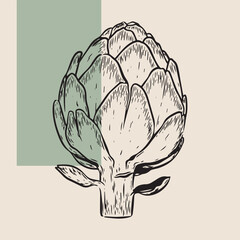 Minimalist line art artichoke illustration for organic food logo, food label, packaging, restaurant menu, patterns, art prints, book illustration or botanical and kitchen design.