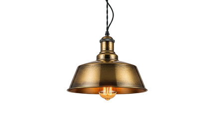 Antique Brass Industrial Pendant Light with Edison Bulb Isolated on Black Background