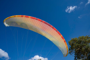 Oludeniz, Turkey. A colorful paraglider flies against a cloudy sky and a tree.