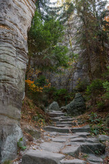 Obraz premium Stone Staircase Through Sandstone Crevice in Prachovské Skály, Czech Republic
