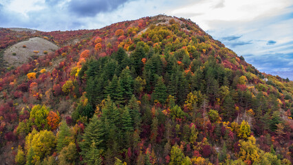 Veduta aerea di colline in foliage, tonalità dorate e rosse che disegnano il paesaggio rurale