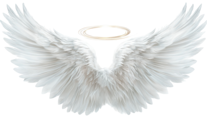 Pair of large, detailed white angel wings with a golden halo (1)