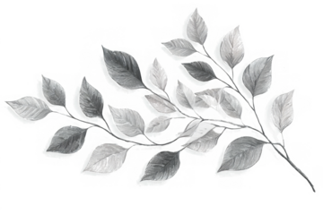 png Elegant leaf branch illustration delicate botanical drawing in grayscale perfect for wedding invitations or nature-themed designs