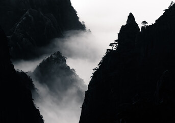 Obraz premium Huangshan Yellow Mountain in China tree silhouettes among fog in black and whit