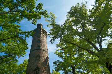 Fototapeta premium Summer view of the Fichteturm in Dresden, surrounded by lush green trees and clear seasonal light.