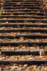 Autumn Leaves on Stone Stairs in Natural Daylight – Seasonal Nature Photography