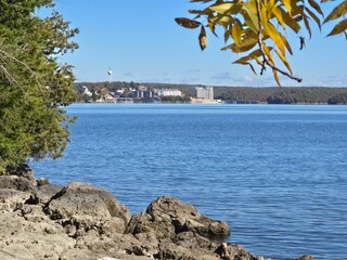 tropical beach with palm trees