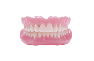 Full set of realistic dentures, pink base, white teeth