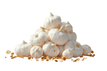 A mound of small, off-white, bulbous objects, resembling miniature pumpkins.  They rest on a bed of scattered, light-tan pieces