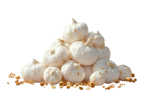 A mound of small, off-white, bulbous objects, resembling miniature pumpkins.  They rest on a bed of scattered, light-tan pieces