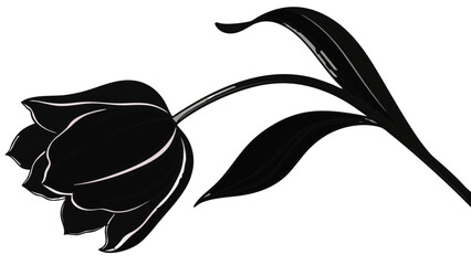Elegant silhouette of a tulip flower with gracefully curved stem and leaves in black and white design vreated with genrated ai