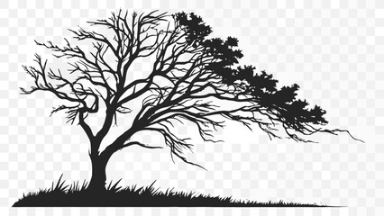 Silhouette of a windswept tree with bare branches and leaves against a transparent background image vreated with genrated ai