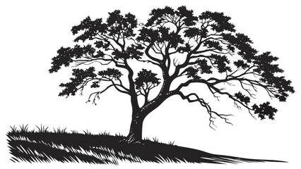 Silhouette of a broad tree with dense foliage and grass in the foreground on a white background vreated with genrated ai