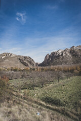Countryside landscape featuring green meadows, leafless trees, and rocky hills illuminated by natural daylight.