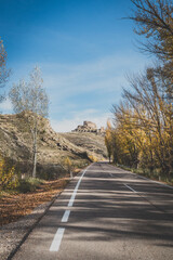 Asphalt road surrounded by autumn trees leading toward an old ruined castle under a clear sky.