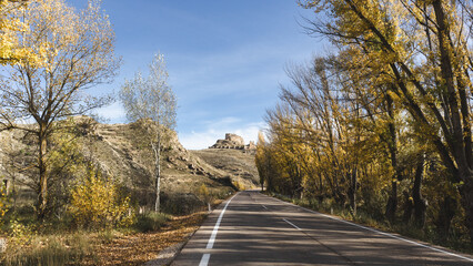 Lonely countryside road framed by yellow autumn trees and soft hills on a sunny day.