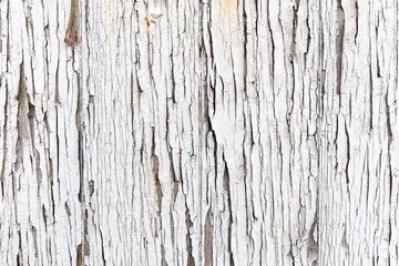 Wooden wall with weathered white paint background