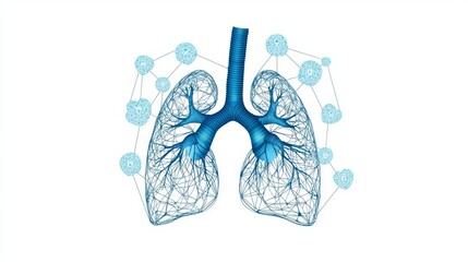 Detailed illustration of human lungs showcasing their structure and respiratory function with network diagram.