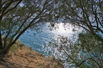 Mediterranean Coastal Vegetation with Sea View in Greece