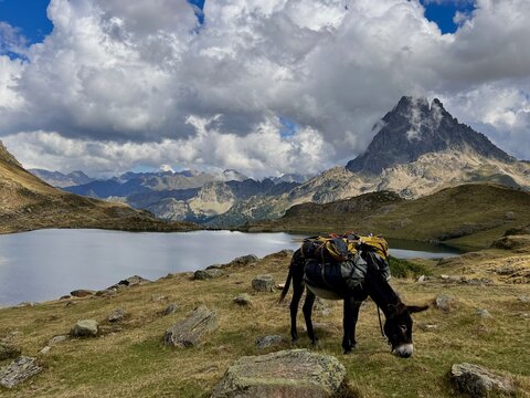 Stunning mountain scenery with a pack donkey grazing in the foreground, set against a dramatic alpine lake and rugged peaks under a sky filled with dramatic clouds