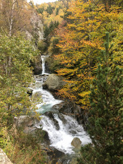 Water flowing down autumn waterfall through Setcases forest