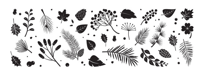 Winter coniferous plant. Autumn branch fir, pine cone, leaves and holly berries, rowan. Christmas floral icon, black doodle evergreen foliage set isolated on white bg. Nature vector illustration