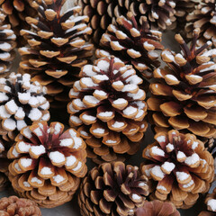 Close-up of pine cones with snow-covered tips a natural winter decoration perfect for holiday backgrounds and seasonal designs