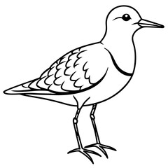 Temminck’s Stint Bird Silhouette Vector – Minimal Wildlife Design