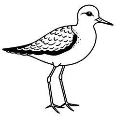 Temminck’s Stint Bird Silhouette Vector – Minimal Wildlife Design