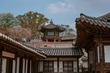 Naklejka premium Changdeokgung Palace in Seoul, South Korea