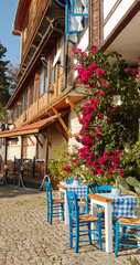 Charming outdoor cafe scene featuring blue and white checkered tables and chairs, surrounded by vibrant pink bougainvillea flowers, creating a picturesque atmosphere for dining and relaxation