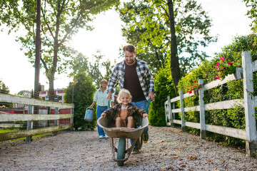 Father pushing toddler boy in wheelbarrow.