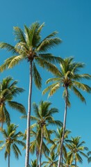 Fototapeta premium Lush tropical palm trees swaying gently against a bright blue sky, creating a joyful and wonderfully relaxing atmosphere, green, blue, tropical