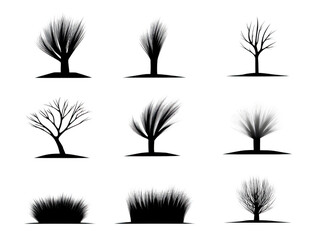 Leafless tree silhouette, black and white, isolated on transparent background, various winter tree shapes, natural design element, calm and peaceful mood