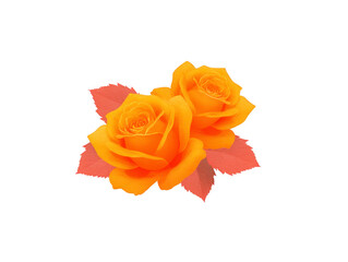 Two vibrant yellow roses with delicate petals and soft orange leaves create romantic and cheerful floral arrangement, perfect for decoration or greeting card design