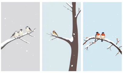 Minimal winter illustrations of cute birds sitting on snowy branches. Calm seasonal nature background for mobile, greeting cards, or holiday design. © czibo