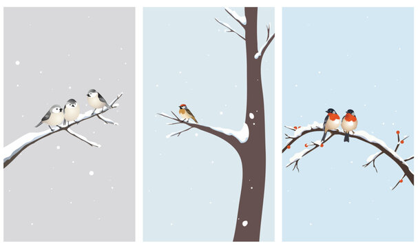Minimal winter illustrations of cute birds sitting on snowy branches. Calm seasonal nature background for mobile, greeting cards, or holiday design.