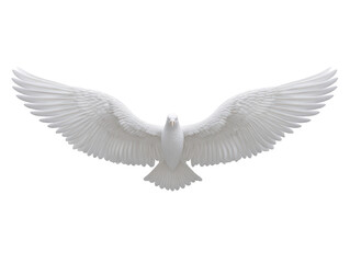 Obraz premium White bird with outstretched wings isolated on transparent background symbolizing freedom peace and purity detailed feathers front view majestic and serene