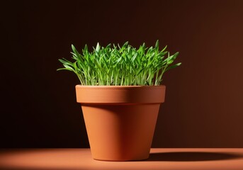 Fototapeta premium Textured terracotta container hosting robust green growth, symbolizing controlled vitality and the beauty of home cultivation, dirt, porous, interior design