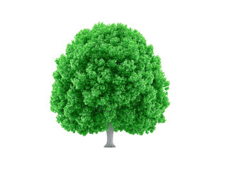 Lush green tree with dense foliage, isolated on transparency background, symbolizing nature, growth, and environmental freshness, perfect for eco concepts and landscape design