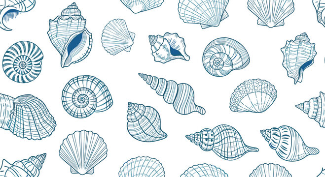Intricate seamless pattern featuring various sea shells, conchs, and nautilus shapes, all meticulously drawn in detailed blue line art.